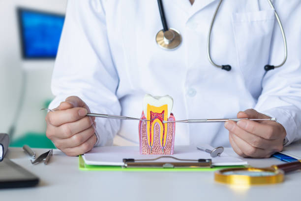 Best Emergency Dental Care for Sports Injuries in Germantown, IL